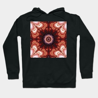 Symmetrical Mandelbrot Zoom Hoodie